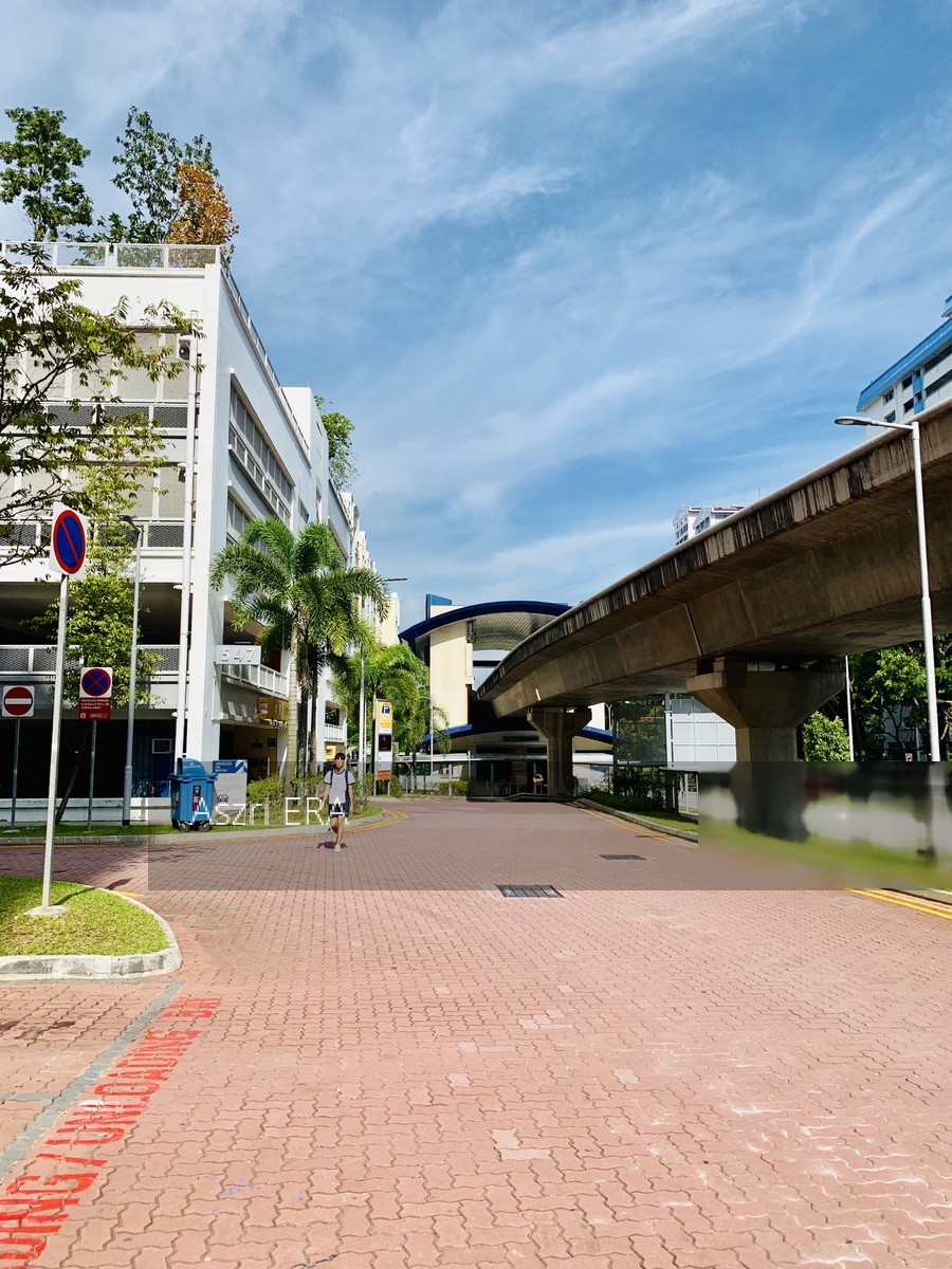 Blk 547B Segar Road (Bukit Panjang), HDB 4 Rooms #202723702